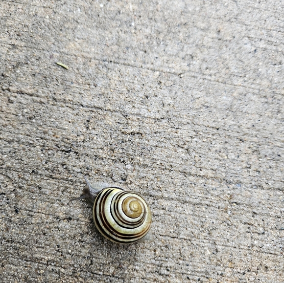 Meet your Posher, Hannah - Picture 12 of 13